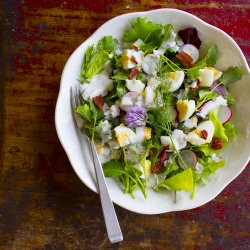 Spring Salad w Yogurt Dill Dressing