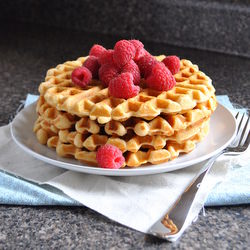 Whole Wheat Waffles