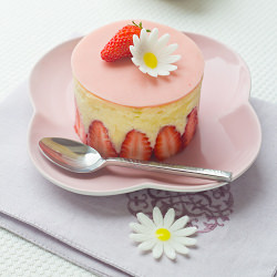 Japanese Fraisier
