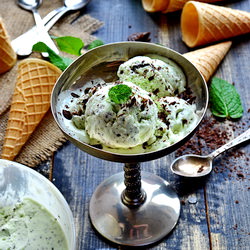 Mint Chocolate Chip Ice Cream