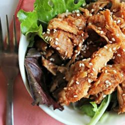 Crock Pot Sweet Pork