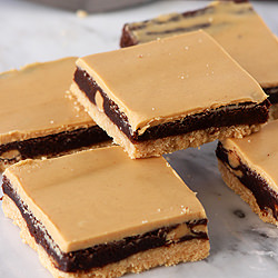 Peanut Butter Fudge Bars