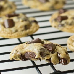 Chewy Chocolate Chunk Cookies