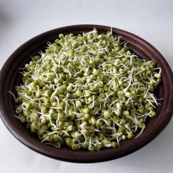 How to Make Moong Bean Sprouts