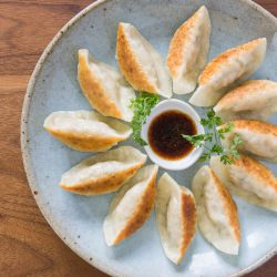 Vegan Gyoza