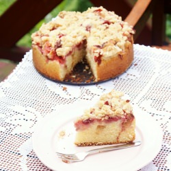 Curd Cake