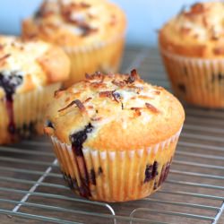 Blueberry & Coconut Muffins