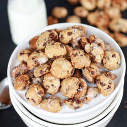 Oatmeal Chocolate Chip Cookie Cereal