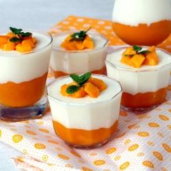 Mango Panna Cotta