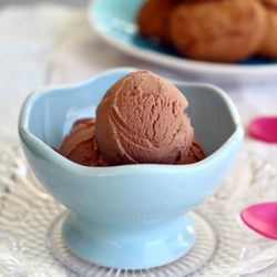 Chocolate Frozen Yogurt