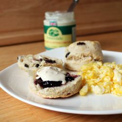 Traditional English Scones