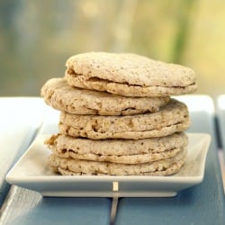 Homemade Gluten Free Sandwich Thins