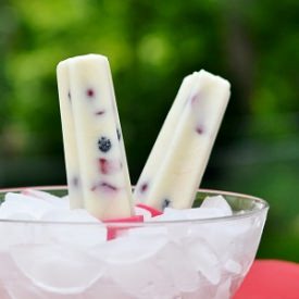 Honey Yogurt Popsicles