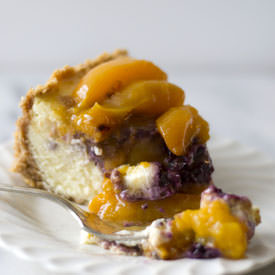 Blueberry & Apricot Cheesecake