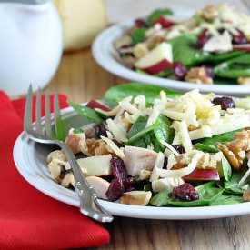 Turkey and Cranberry Salad