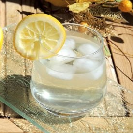 Elder Juice