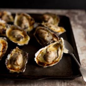Oysters Gratin