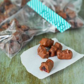 Chocolate Covered Gummy Bears