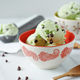 Mint Chocolate Chip Ice Cream