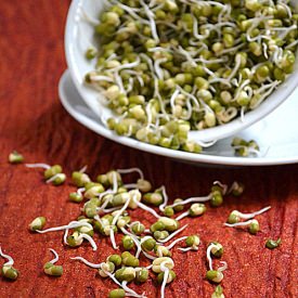 Homemade Green Bean Sprouts