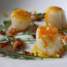 Belgian Endive Starter
