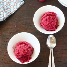 Mixed Berry/Coconut Sorbet