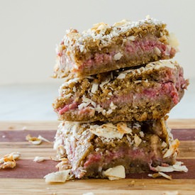 Coconut Berry Bars (GF)