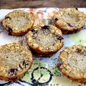 Hemp & Honey Blueberry Oatmeal Cups