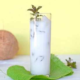 Coconut Mojito
