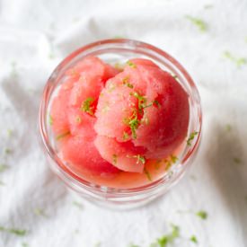 Watermelon Lime Slushy Sorbet