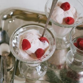 Vanilla Raspberry Rhubarb Fro Yo