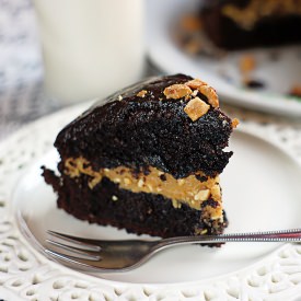 Peanut Butter Chocolate Cake