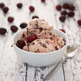 Black Cherry Chocolate Chip