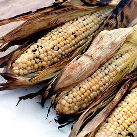 Grilled Corn on the Cob