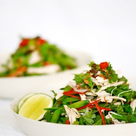 Shredded Chicken Thai Salad