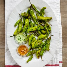 Roasted Shishito Peppers