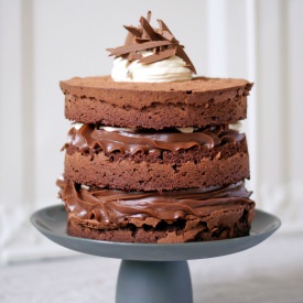 Chocolate Hazelnut Fudge Cake