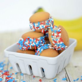 Skinny Ice Cream Sandwiches