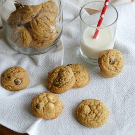 Double Chocolate Peanut Butter Cookies