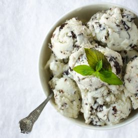 Fresh Mint Chip Frozen Yogurt