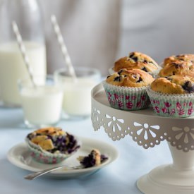 Easy GF SF Blueberry Muffins