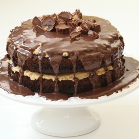 Chocolate Peanut Butter Cake