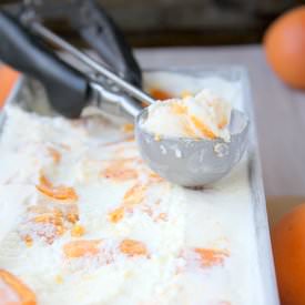 No-Churn Roasted Apricot Ice Cream