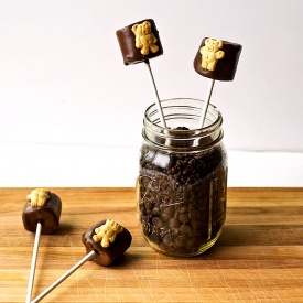 Teddy Graham S’more Pops