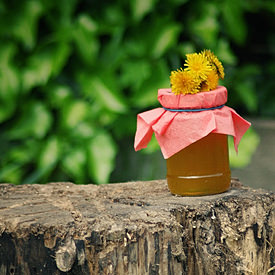 Dandelion Syrup