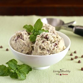 Paleo Mint Chocolate Chip Ice Cream