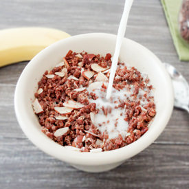 Chocolate Quinoa Cereal