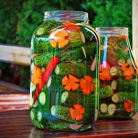 Sun Pickles