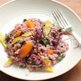 Baby Vegetable Risotto