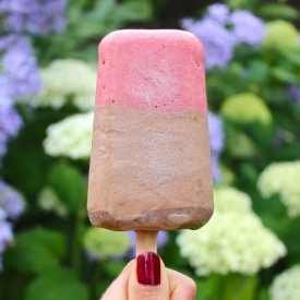 Healthy Ice Lollies